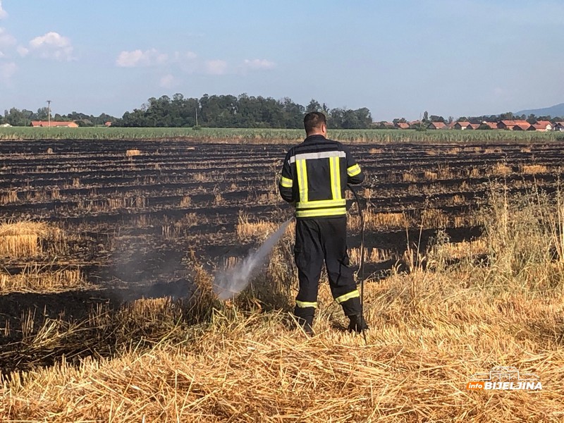 Bijeljina: Vatrogasci se još bore sa vatrenom stihijom (FOTO)