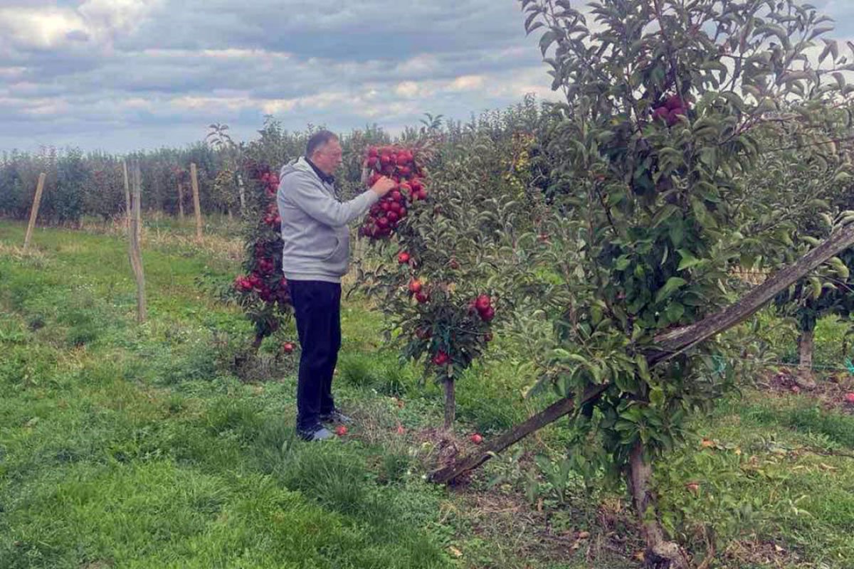 Dodik obišao voćnjak pa se požalio: “Rod jabuka prepolovljen”