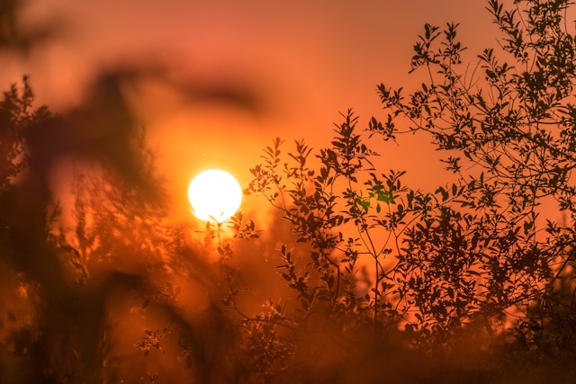 Od danas na snazi CRVENO UPOZORENJE zbog VISOKE TEMPERATURE