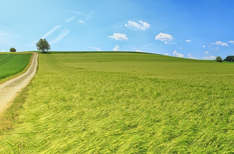 Danas uglavnom sunčano, do 33 stepena Celzijusova