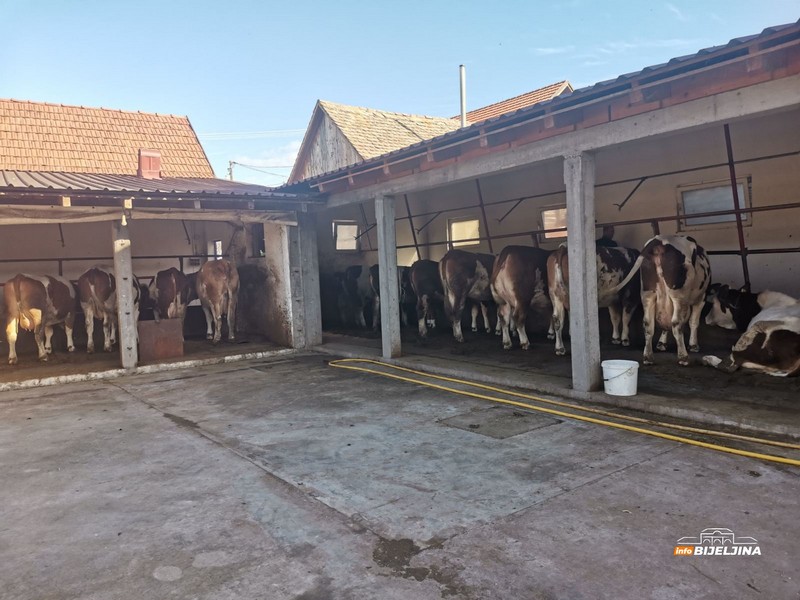 Austriju zamijenio rodnom Semberijom: Budućnost gradi baveći se poljoprivredom u zavičaju (FOTO)