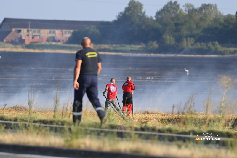Spasojević: Požar prijetio da ide prema deponiji, borimo se sa vatrom i vjetrom (FOTO)