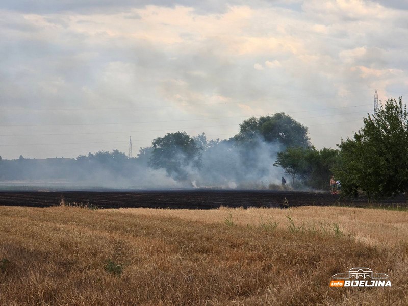 Bijeljina: Požar zahvatio obilaznicu, približio se kućama (FOTO)
