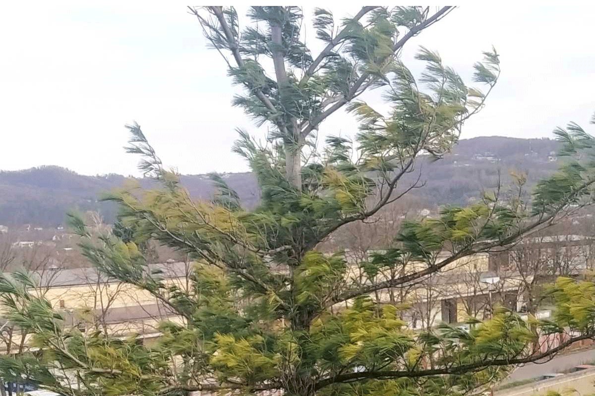 Jak vjetar u Srpskoj, poznato kojom jačinom duva