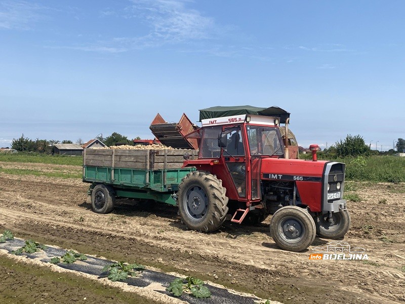 U Semberiji počelo vađenje industrijskog krompira: Hoće li ova godina nadoknaditi prošlogodišnju katastrofu?