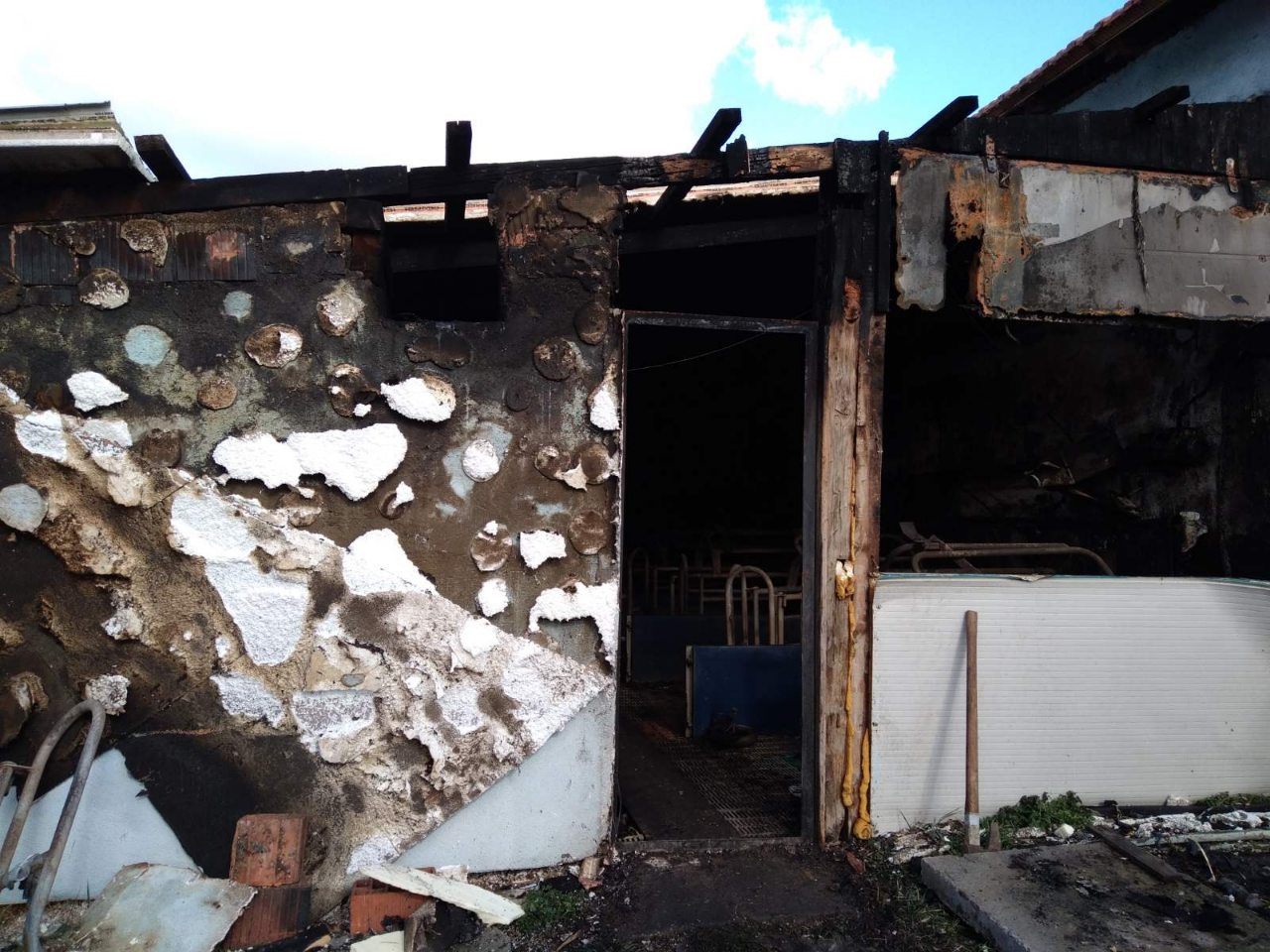 ŠTETA OGROMNA Uglednom semberskom farmeru vatra progutala prasilište sa 13 krmača i 120 prasadi