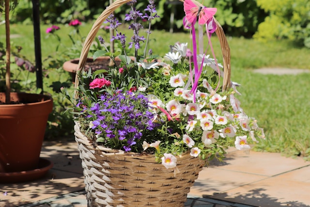 Avgust nije kasno za baštu: 5 cvjetnica koje sadite sada, a cvjetaju dugo