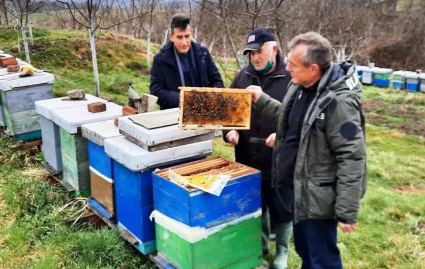 GDJE SU PČELE? Nepoznata bolest napala pčelinjake u Modriči i okolini, ljudi mole stručnjake za pomoć!