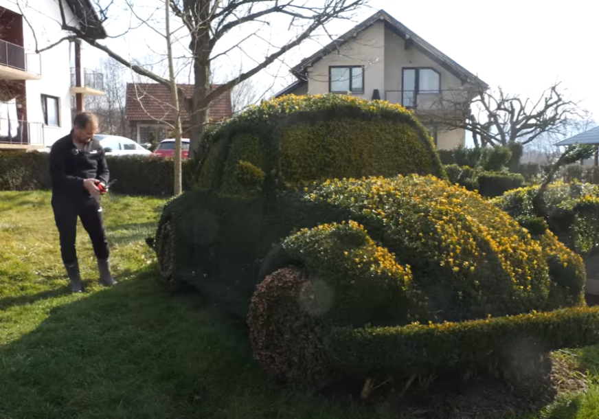 Svaka čast za kreativnost: Čovjek 12 godina šišao šimšir da bi ga oblikovao u 