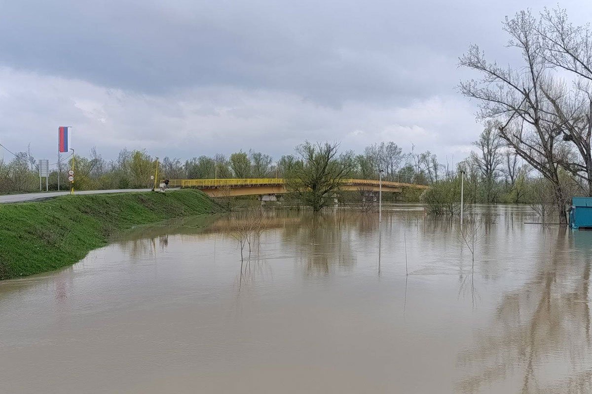 U Šamcu raste nivo Save