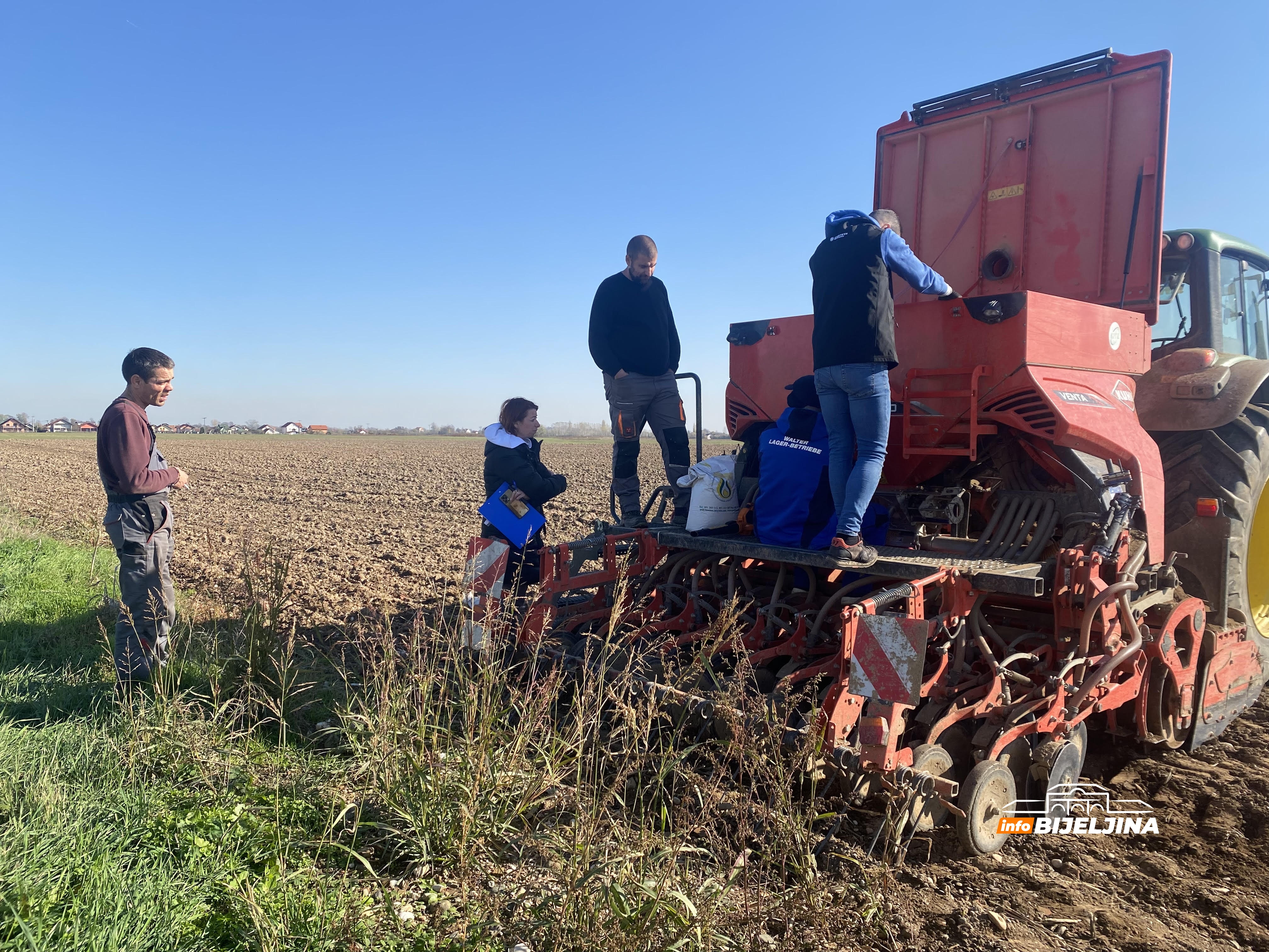 Napreduje ozima pšenica u Semberiji, ali joj prijeti opasnost: “Simptome možemo uočiti tek u proljeće”