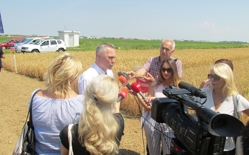 Pašalić: Očekivani prinos pšenice pet tona po hektaru