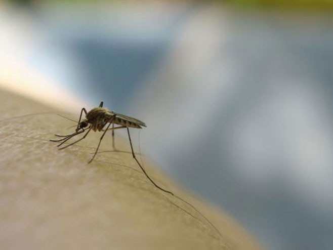 Najbolji načini da zaustavite svrab poslije ujeda komarca