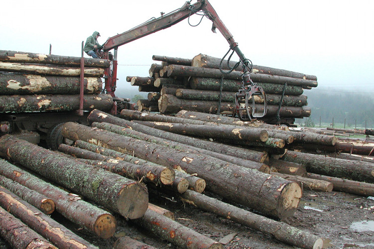 Postignut dogovor: Stop izvozu trupaca, vlade uvode takse