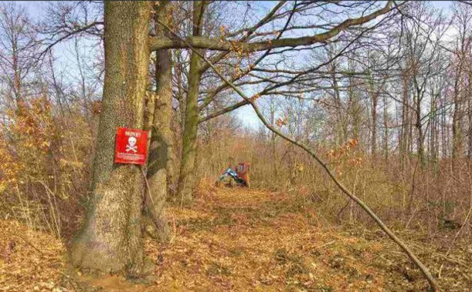 Obradović: Više od 1.050 kilometara kvadratnih sumnjive površine pod minama