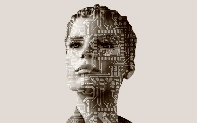 Pet mana koje su znak inteligencije