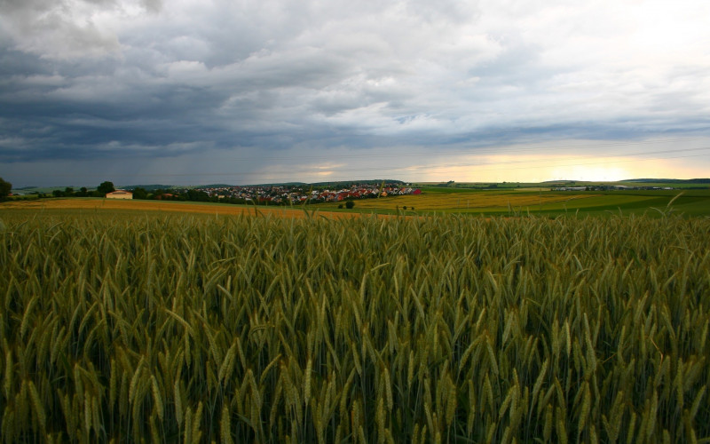 Danas nestabilno, uz čestu kišu i pljuskove