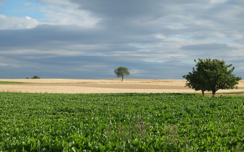 Nestabilno vrijeme sa kišom i pljuskovima