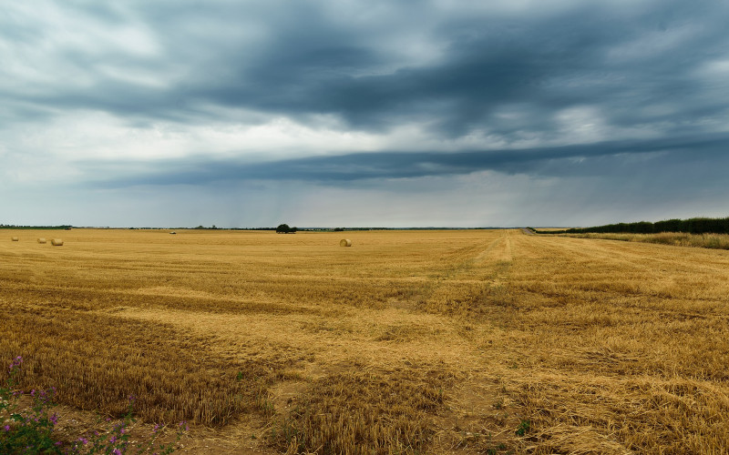 Prije podne sunčano, tokom dana pljuskovi i grmljavina