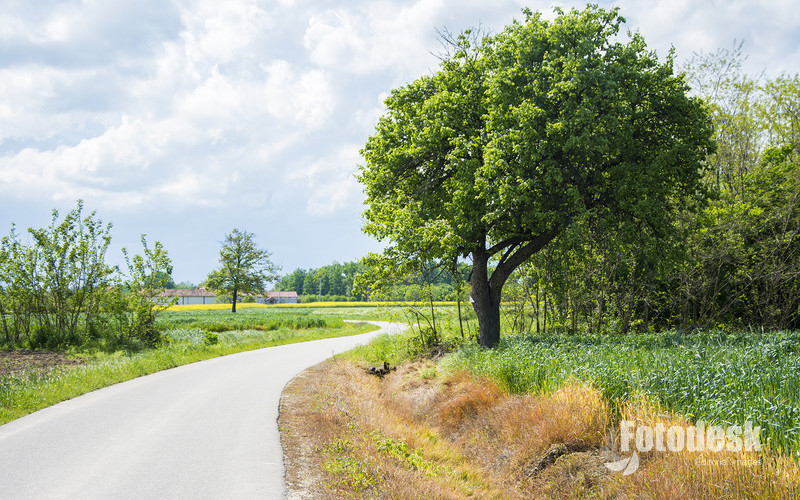 Tokom dana zahlađenje