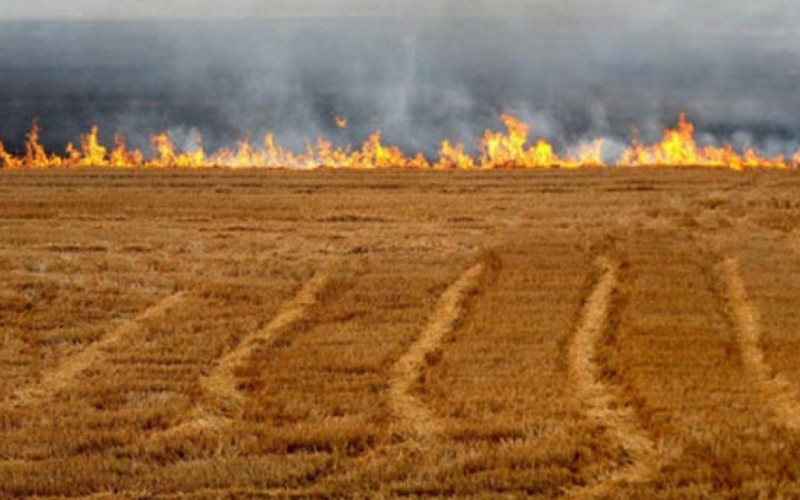 Zabranjeno spaljivanje žetvenih ostataka na njivi