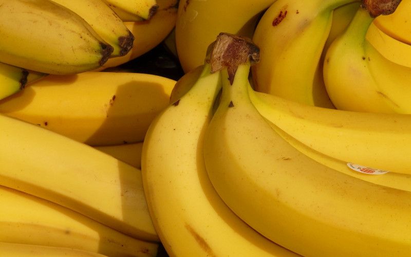 Uskoro bismo mogli ostati bez banana, evo zašto