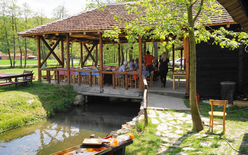 Drina, proja, kajmak...
