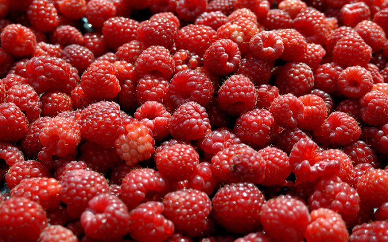 Cijena maline niža nego lani