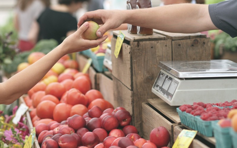 Građani konzumiraju 72 odsto uvezene hrane