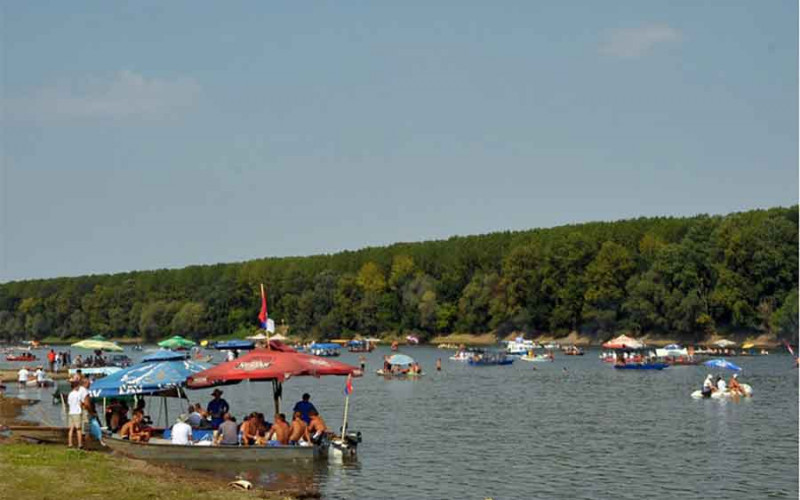 Danas 