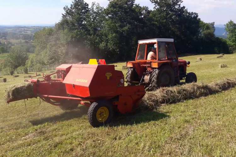 Kišno ljeto skratilo otkose, farmeri u strahu zbog manje količine sijena