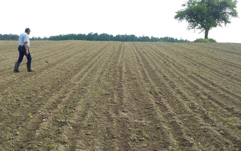Sve više poljoprivrednih dobara u BiH, rastu i ulaganja u agrar