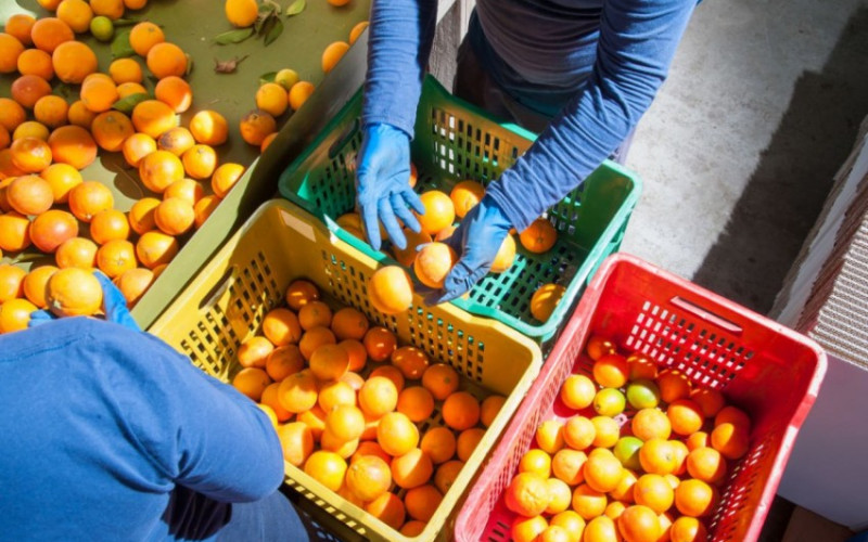 U Srpsku zabranjen uvoz 19 pošiljki neispravne hrane