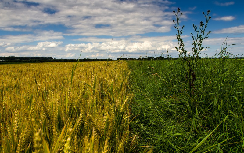 Danas veoma toplo i sunčano