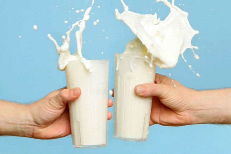 Ukinute carine na mlijeko iz BiH