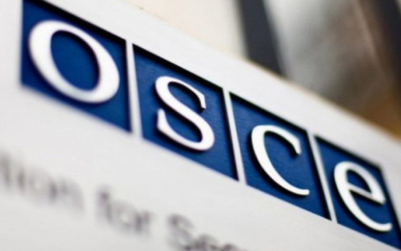 OEBS osudio napad na Vladimira Kovačevića: Vlasti BiH da hitno istraže slučaj