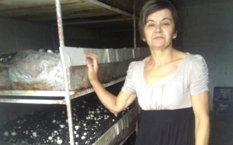 Patkovača: Uzgajaju šampinjone i zbrajaju dobit