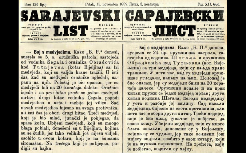 Da li ste vidjeli medvjeda u Bijeljini?