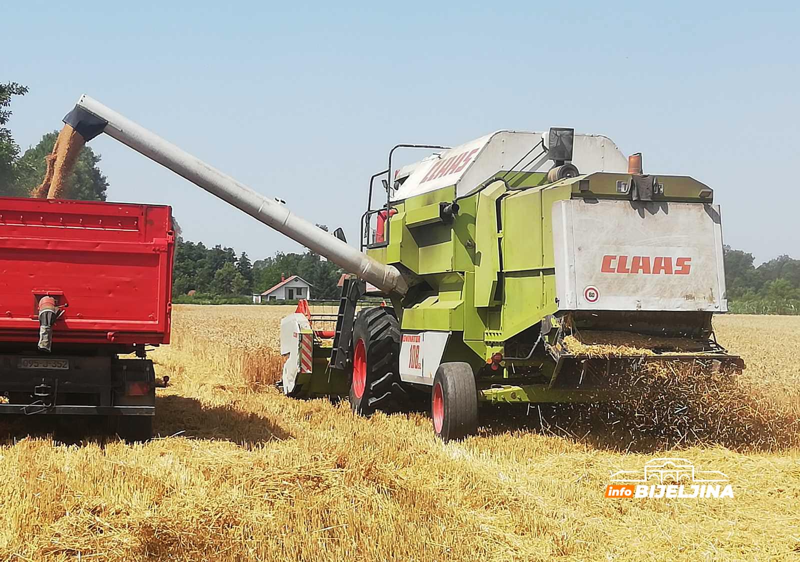 ŽETVA PŠENICE U PUNOM JEKU Ratari ne prihvataju ponuđenu otkupnu cijenu (FOTO)
