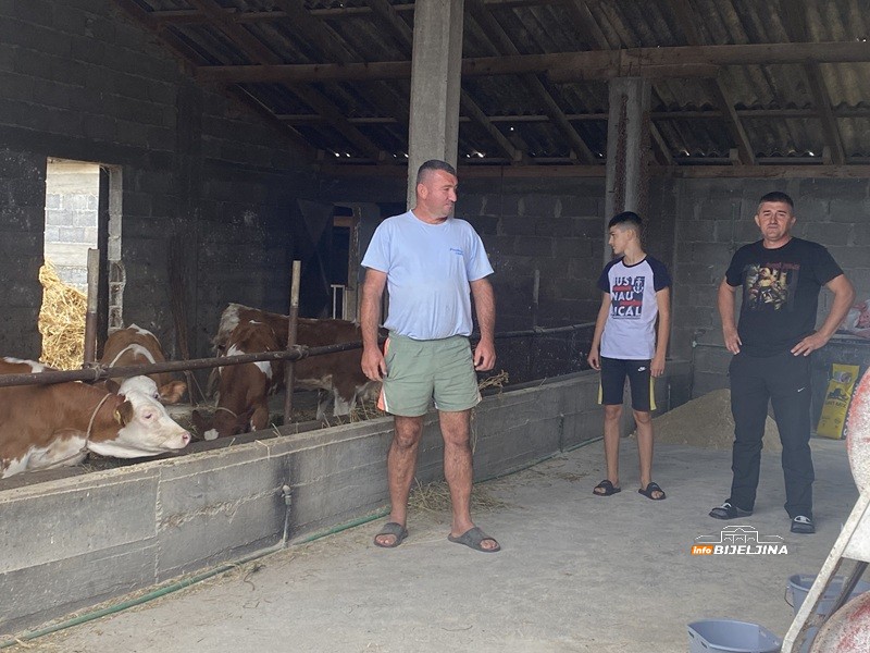 Mladi Semberac obrađuje 200 dunuma, hrani stoku i sam se o svemu brine: Teško naći djevojku koja bi da živi u selu