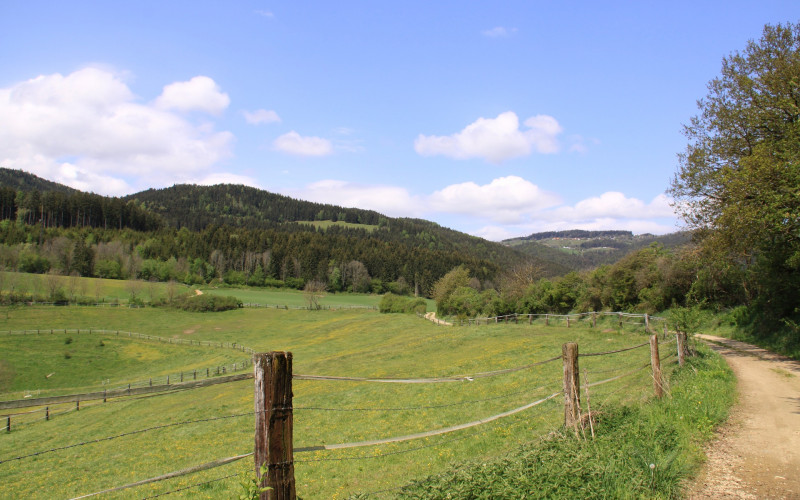 Danas promjenljivo i veoma toplo