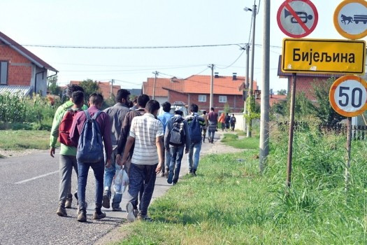 Bijeljina: Od juna do danas pronađeno preko 1.200 ilegalnih migranata