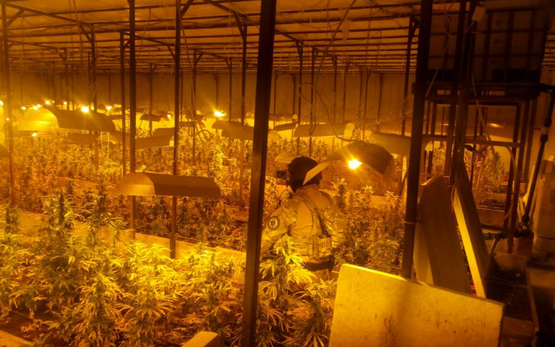 Bijeljina: Nastavak međunarodne policijske akcije, pronađena marihuana, oružje