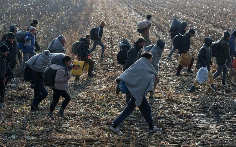 Grupa od 28 migranata otkrivena u kukuruzištu u Janji