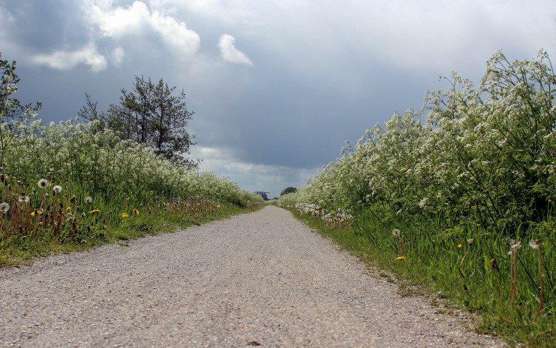 Danas promjenjivo oblačno