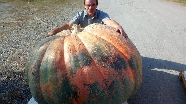 Bundeva od 420 kilograma 