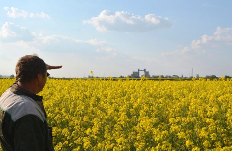 Završena sjetva uljane repice u Semberiji