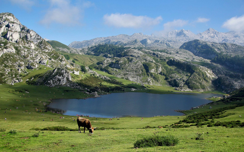 Ljekari u Škotskoj prepisuju kao lijek - boravak u prirodi