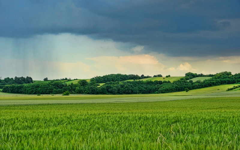 Danas oblačno i vjetrovito, kiša obilnija u Hercegovini