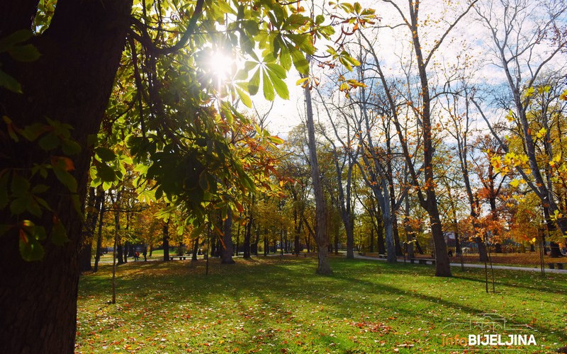 Nema zime do Svetog Save